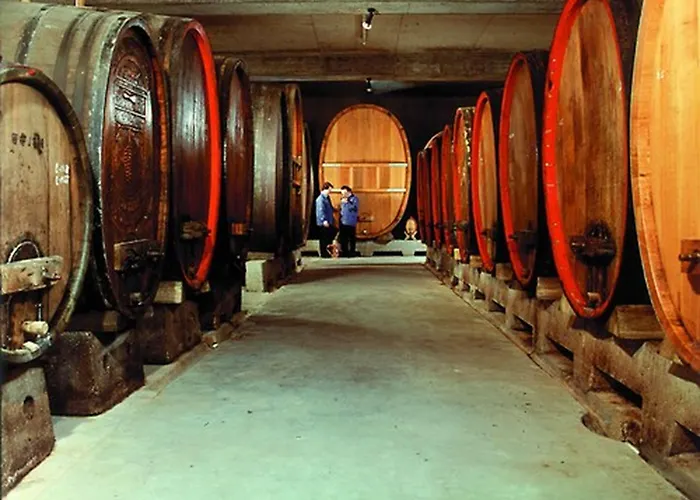 Glocke Weingut Und Pensionat 3*